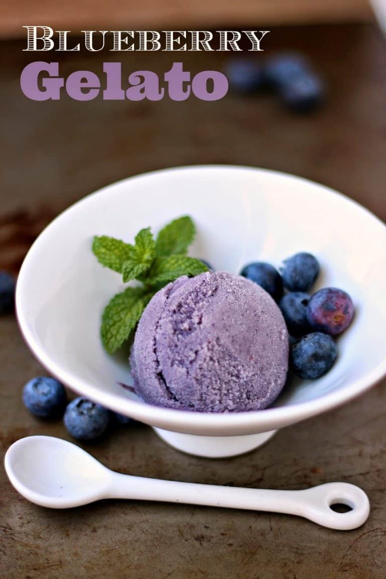 Blueberry Gelato | A Baker's House