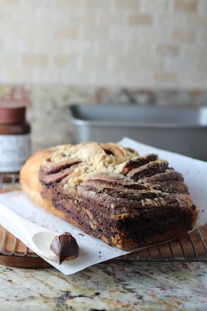 Nutella Cake - Easy & Delicious Chocolate Swirl Loaf Recipe