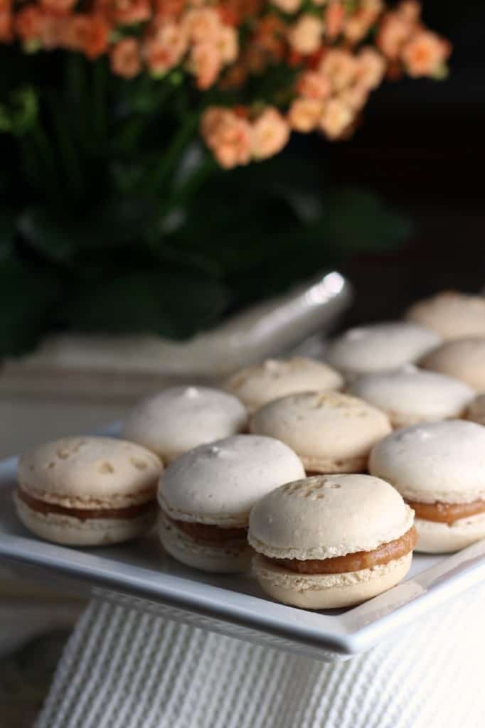 Peach French Macaron Perfection With The Eat Smart Scale - The Seaside Baker