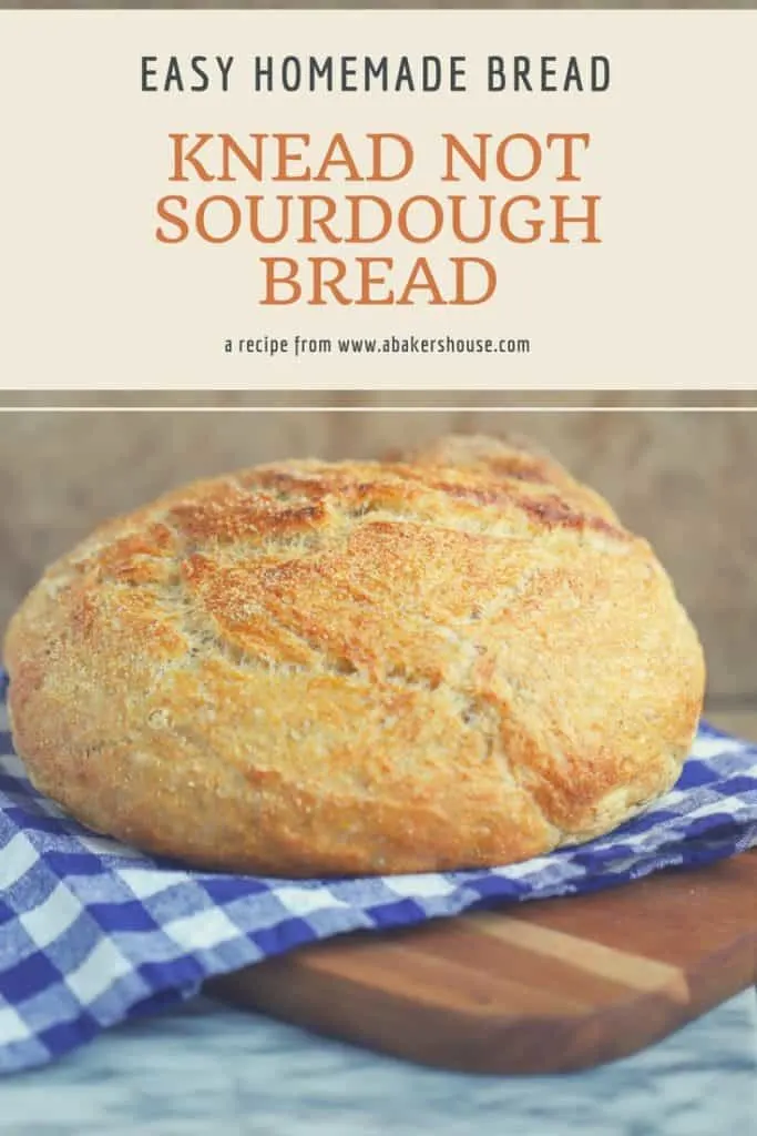 Easy No-Knead Sourdough Bread